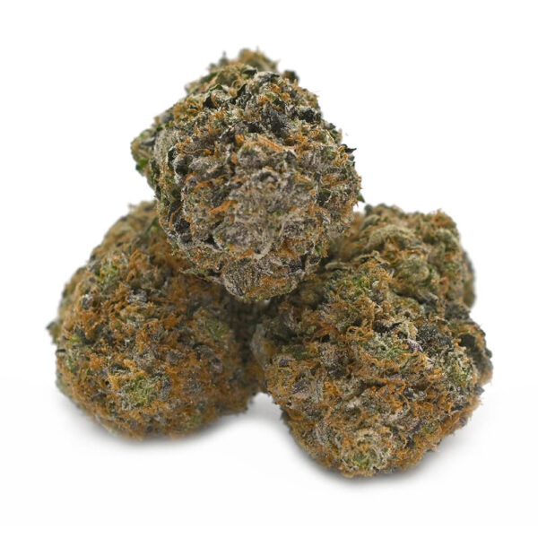 Black D.O.G. – Thunder Buddies