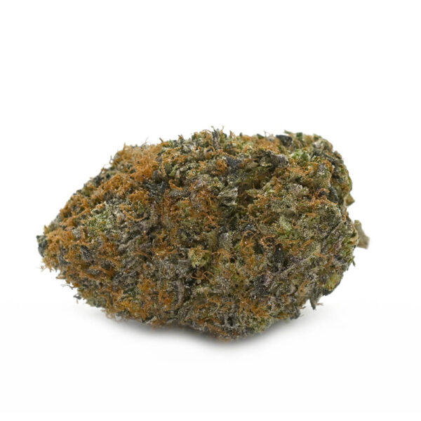 Black D.O.G. – Thunder Buddies - Image 2