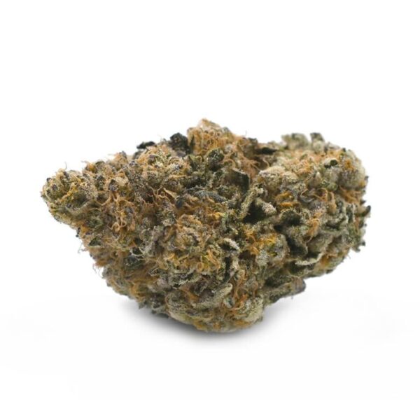 3.5GMs Beach Crasher – Indica-Dominant Hybrid Kush Strain - Image 2