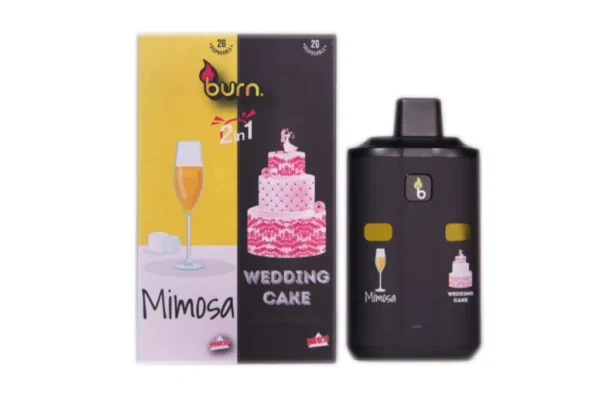 Burn Lifestyle’s Disposable Vape - Image 2