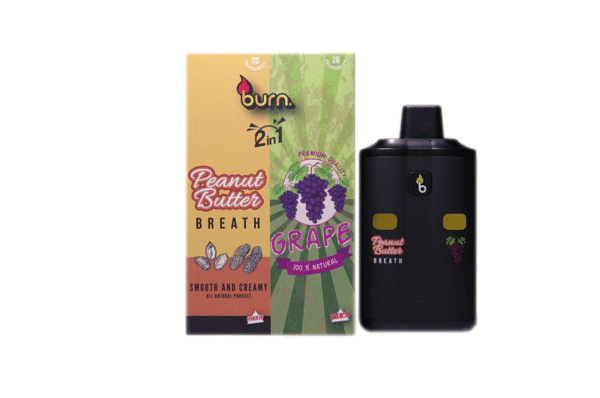 Burn Lifestyle’s Disposable Vape
