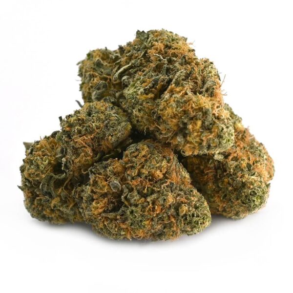 3.5gms Cement shoes - Image 2