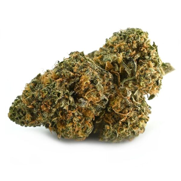 3.5gms Cement shoes