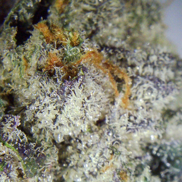3.5gms Diamond OG - Image 3
