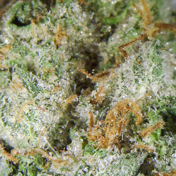 7gms Ghost Bubba – The Perfect Balance of Relaxation & Euphoria - Image 3
