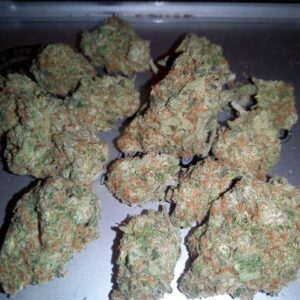 1oz (28g) Great White Shark