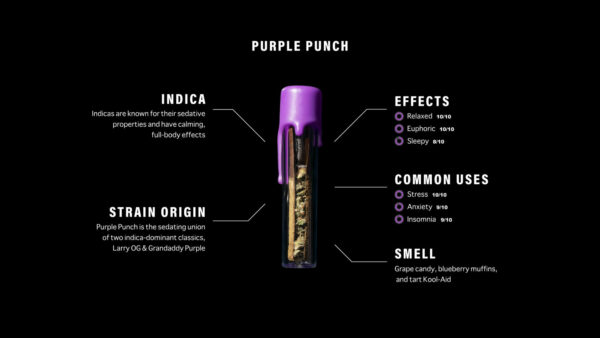 Packwoods Purple Punch: A Bold Fusion of Flavor, Potency, and Artisanal Excellence - Image 2