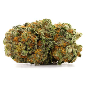1 oz (28g) Purple Midnight Strain