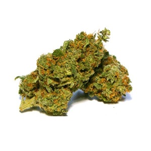 1 oz (28g) Sour Banana Sherbet