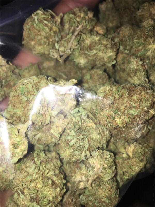 29gms  Blue Pave Marijuana Strain: A Luxurious Indica-Dominant Hybrid in Collaboration with Quavo - Image 2
