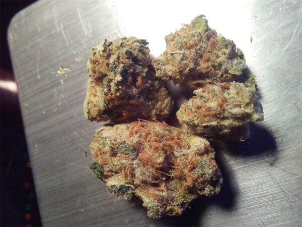 29gms  Blue Pave Marijuana Strain: A Luxurious Indica-Dominant Hybrid in Collaboration with Quavo