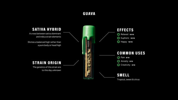 Packwoods Guava: A Tropical Masterpiece of Artisanal Cannabis Innovation - Image 2