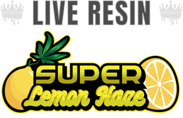Super Lemon Haze | Sativa | 1000MG Live Resin THC - Image 2