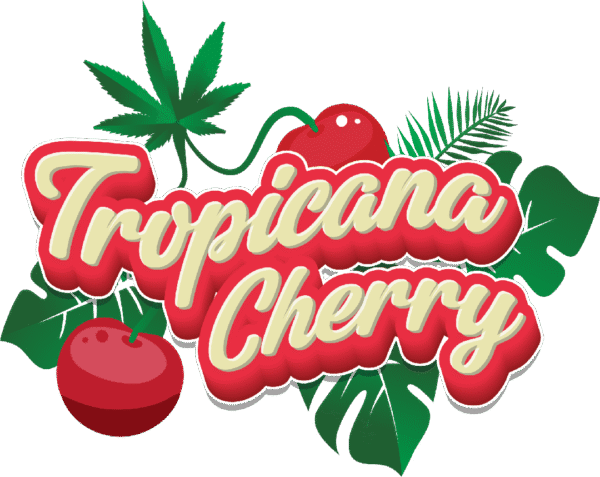 Tropicana Cherry | Sativa | 500MG Hash Rosin - Image 2