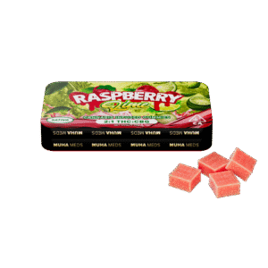 Raspberry Lime | Sativa 2:1 THC:CBG Infused Gummies