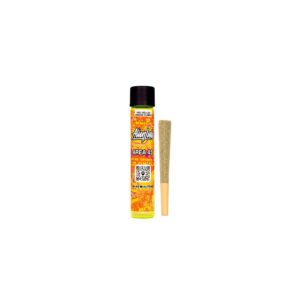 Area 41 | 1 Gram – STIIIZY Premium Cannabis Preroll