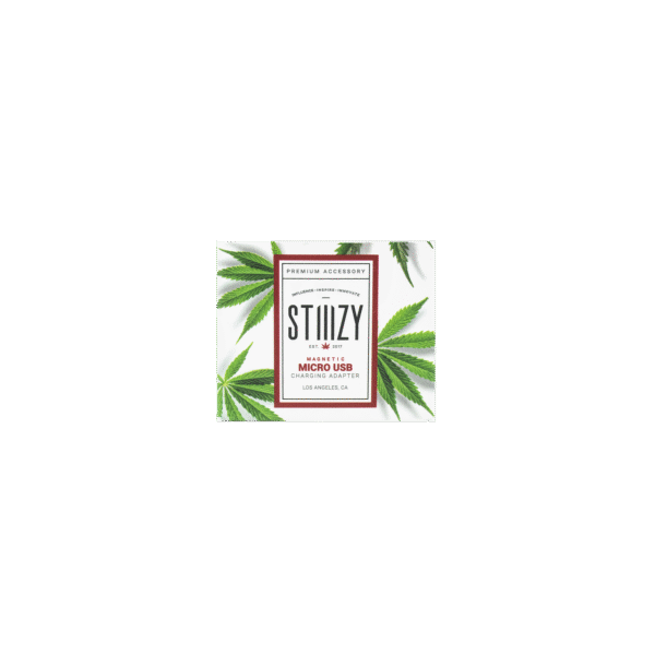 STIIIZY Replacement Power Case Adapter - Image 2