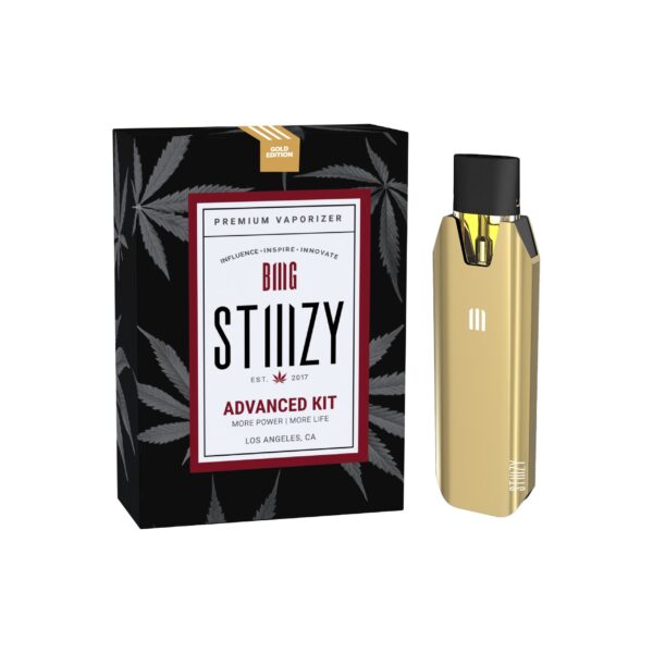 STIIIZY Battery – Gold | 1EA Advanced Kit