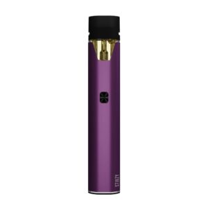 STIIIZY Battery – Purple | 1EA