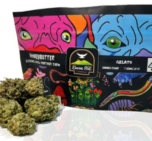 Gelato | 7 Grams – STIIIZY Premium Cannabis Flower